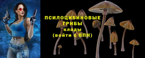 ешки Алексеевка