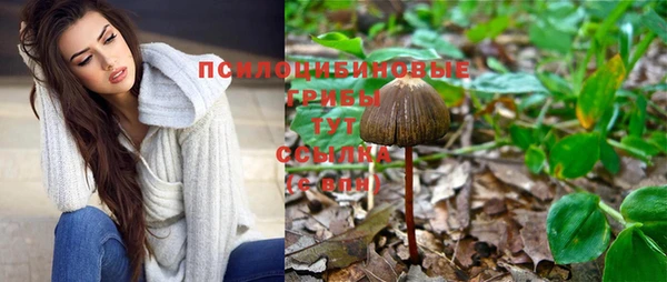 ешки Алексеевка