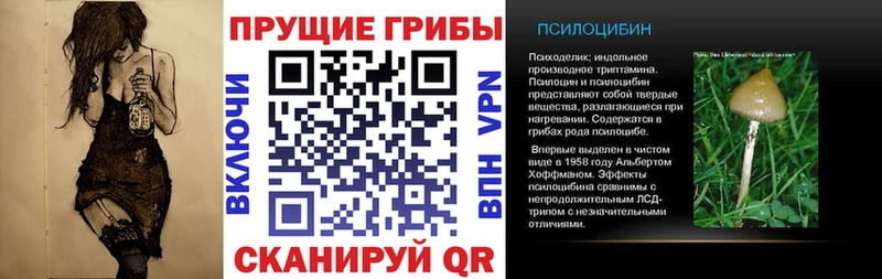 Псилоцибиновые грибы мицелий Лахденпохья